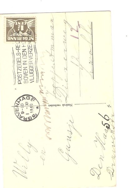 画像2: ピクニックを楽しむ子ども達 (2)