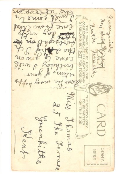 画像2: ソリ遊びをする猫たち H.Maguire (2)