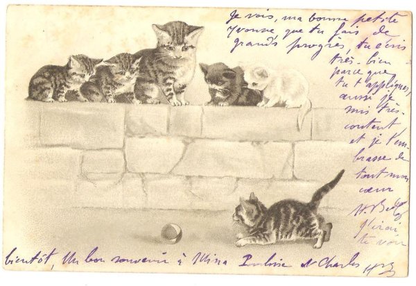 画像1: ボールで遊ぶ猫と見ている猫たち  H.Maguire (1)