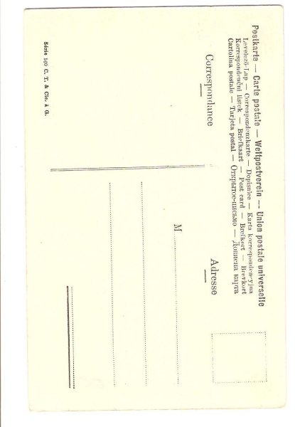 画像2: 仔犬にお水を与える女の子 (2)