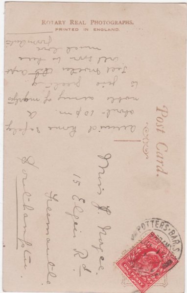 画像2: 2匹の猫 (2)