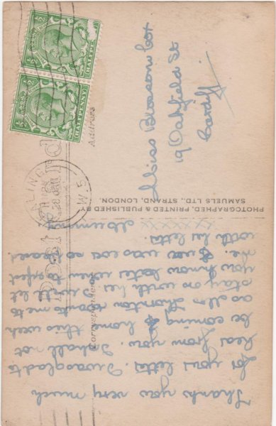 画像2: バスケットの中の子猫 (2)