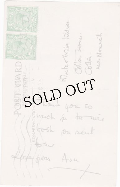 画像2: じょうろの中の子猫 (2)