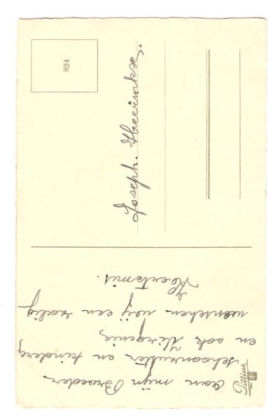 画像2: クリスマス　スミレのお花 (2)