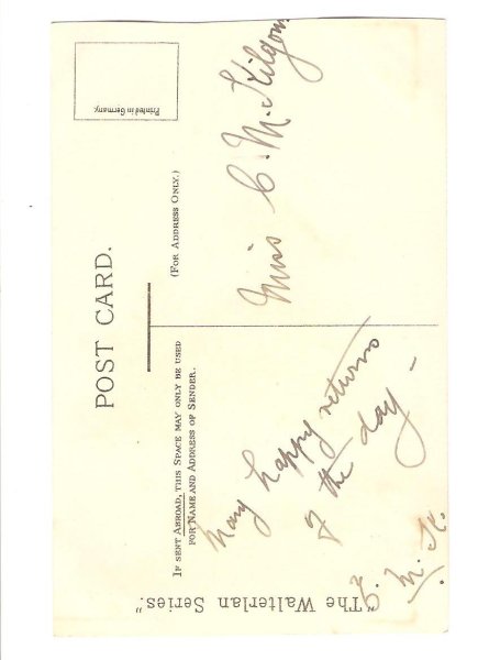 画像2: スミレのお花 (2)