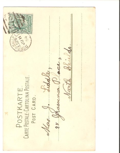 画像2: スミレのお花 (2)