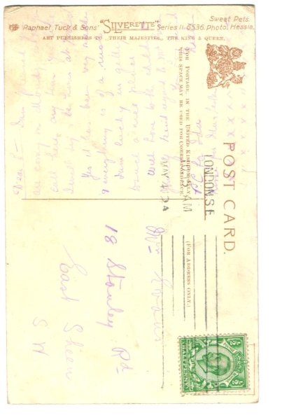 画像2: 木馬に乗って子犬達とお出かけをする子ども (2)