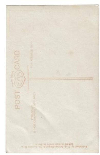 画像2: 猫を抱く女の子 (2)