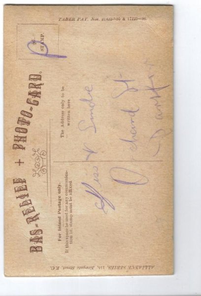 画像2: お風呂に入る子猫 (2)