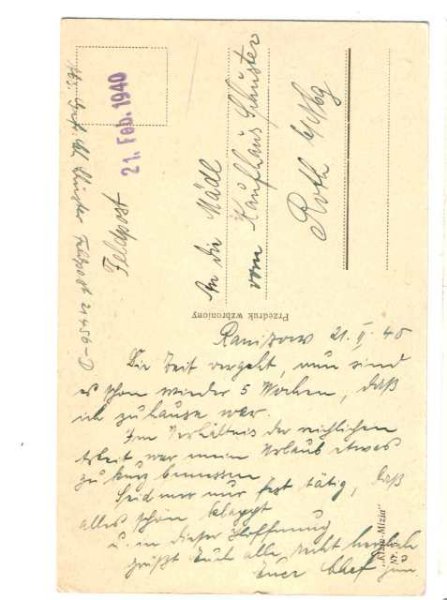 画像2: 果実をとる猫達 (2)