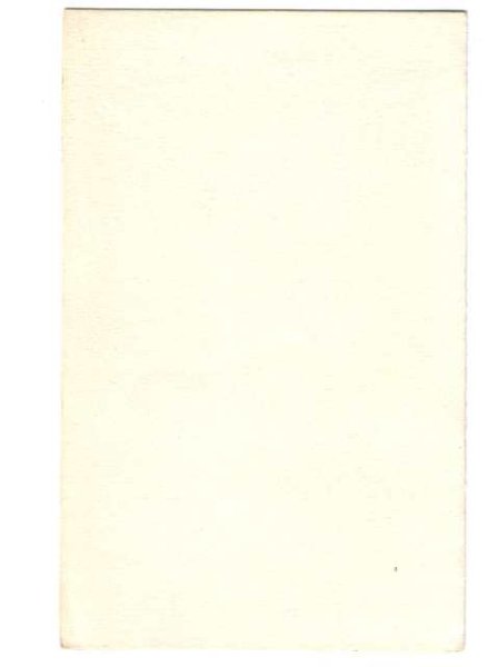 画像2: 暖炉の前の黒猫の親子 (2)