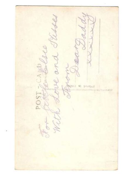 画像2: ボウルの中の子猫 (2)