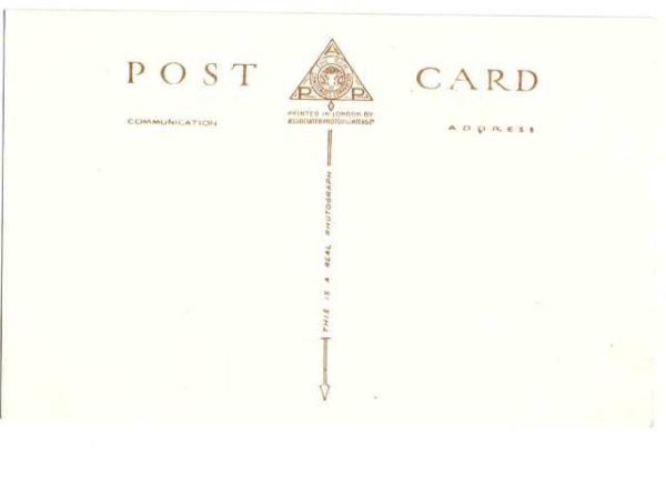 画像2: 秤と子猫 (2)