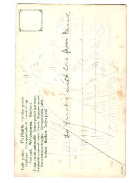 画像2: かごの中の猫 (2)