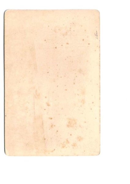 画像2: 家族写真 (2)