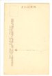 画像2: 手彩色絵葉書　大阪宇治川 (2)