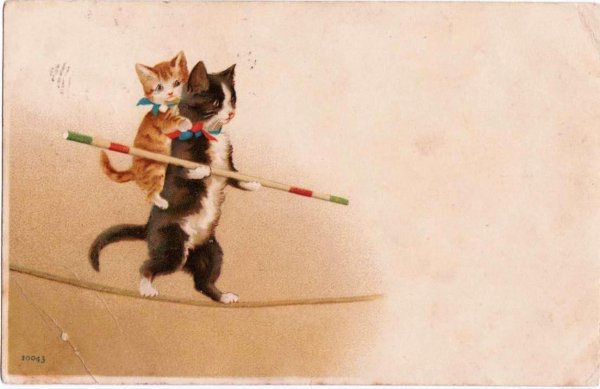 画像1: 猫のサーカス綱渡り  H.Maguire (1)