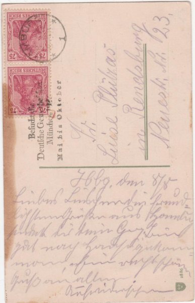 画像2: 猫の親子　H.Maguire (2)