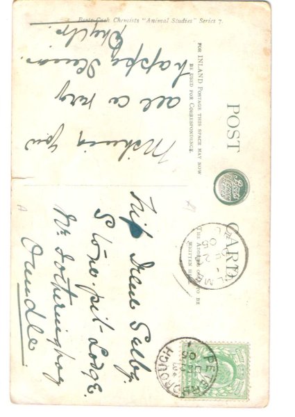 画像2: うさぎと遊ぶ猫 (2)