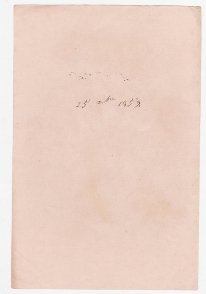 画像2: ドレスの女性 (2)