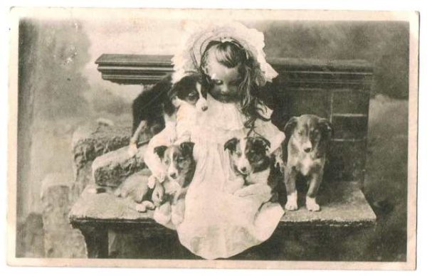 画像1: 女の子と子犬 (1)