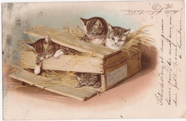 画像1: 木箱の猫たち　 H.Maguire (1)