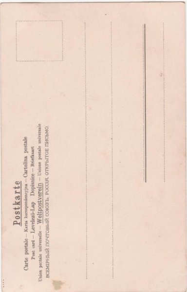 画像2: 猫の喧嘩  H.Maguire (2)