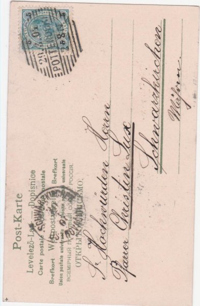 画像2: 美しい天使 (2)