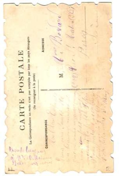 画像2: スミレのお花 (2)