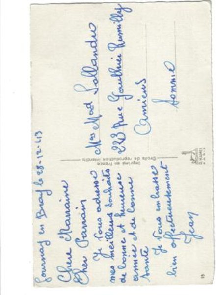 画像2: スミレとカーネーションのお花 (2)