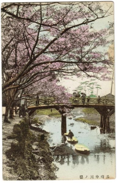 画像1: 手彩色絵葉書　長崎中川の桜 (1)