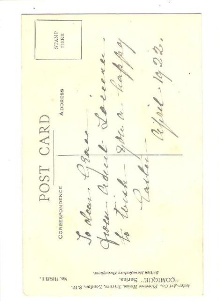 画像2: 卵から生まれたヒヨコと黒猫と犬 (2)