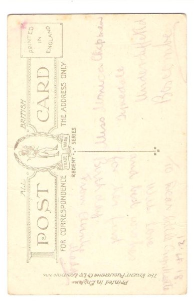 画像2: ヒヨコ (2)