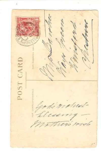 画像2: ヒヨコ (2)