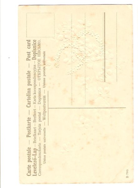 画像2: スミレのお花 (2)