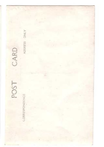 画像2: 肖像写真 女の子とお人形 (2)