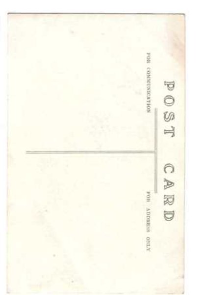 画像2: 肖像写真 女の子 (2)