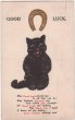画像1: Good Luck Cat 幸運を招く黒猫 (1)