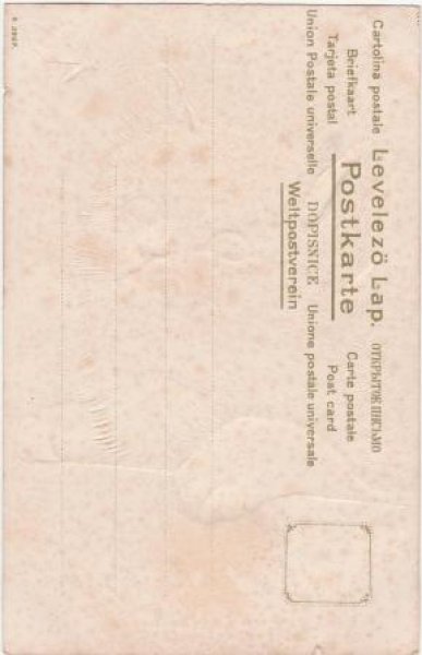 画像2: 蝶々を見つめる猫 (2)