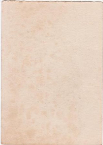 画像2: 猫と犬のクリスマスカード (2)