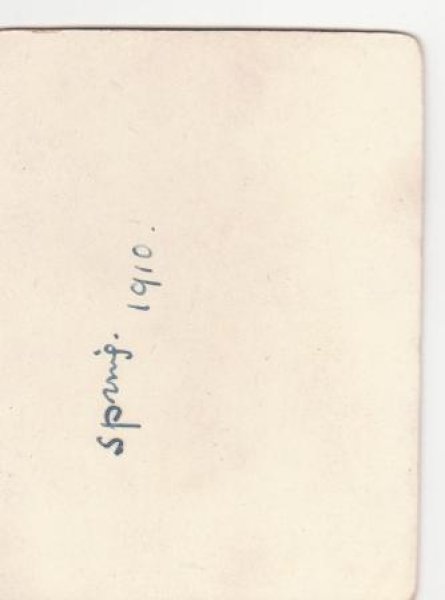 画像2: 肖像写真　女の子と犬とテディベア (2)