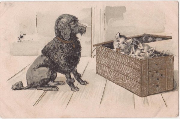 画像1: 猫の子守りをするプードル犬 (1)