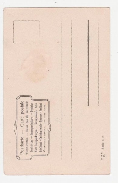 画像2: 犬　ジャックラッセルテリア系 (2)