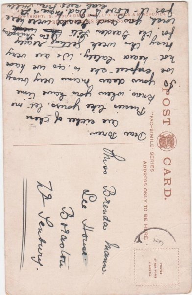 画像2: ミルクを飲む猫 (2)