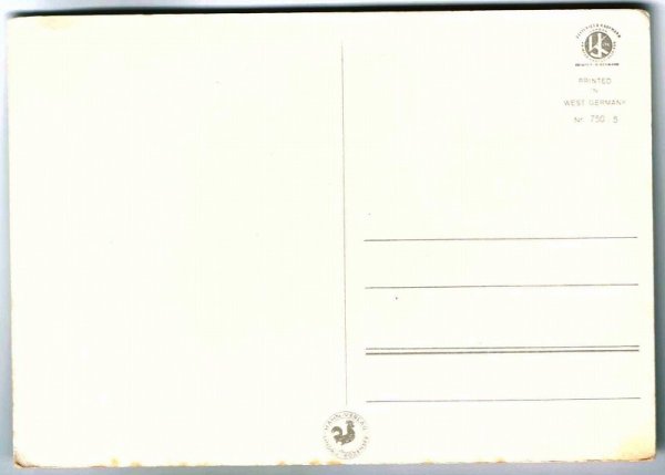 画像2: 3匹のシャム猫 (2)