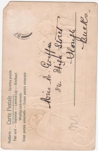 画像2: 猿のカメラマンとポーズをとる猫たち (2)