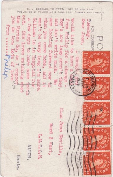 画像2: 宝石箱と猫 (2)