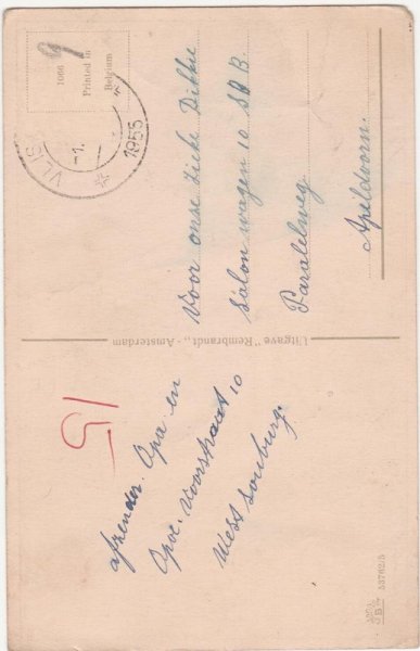 画像2: ねずみ捕りを隠れてみている猫たち (2)