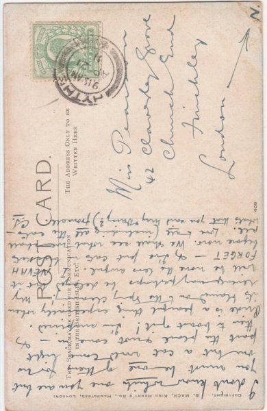 画像2: ２匹の猫　 (2)