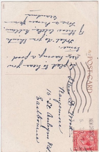 画像2: 5匹の猫達 (2)